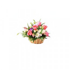 Flower Arrangements