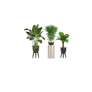 Plant Stands & Accessories