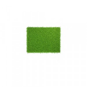 Grass